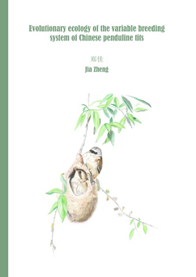 Thesis Zheng, November 2022