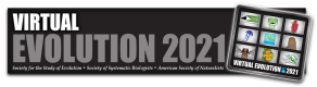 Evolution2021 logo